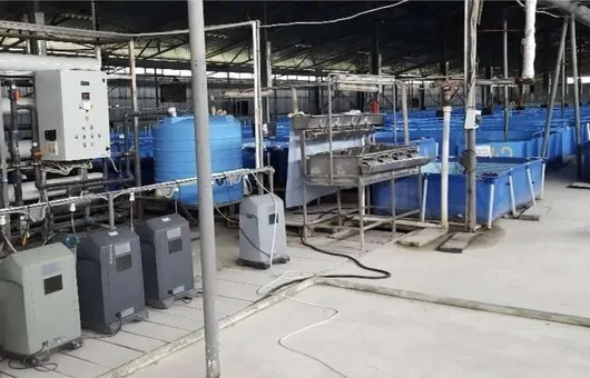 кислородное оборудование для рыбхозяйств узв